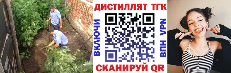 закладки  Высоцк  Дистиллят ТГК жижа 