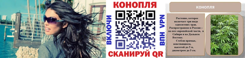 Бошки Шишки сатива  Высоцк 